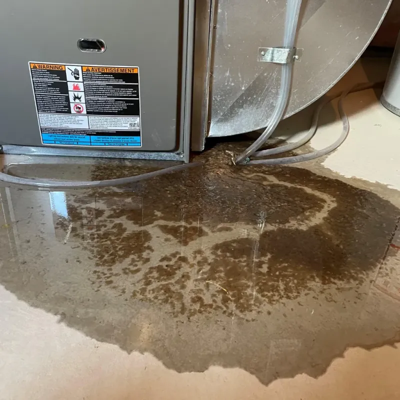 Appliance Leak Cleanup in Saugerties South, NY